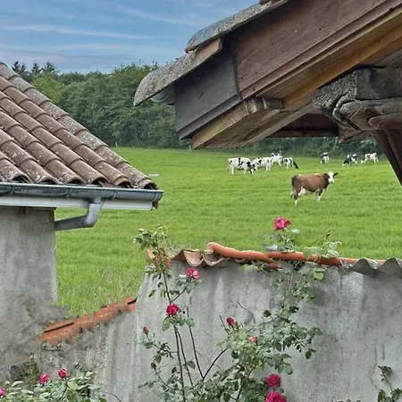 Gospodarstwo wiejskie Confortable A La Ferme Avec Terrasse En Campagne - Fr-1-496-220